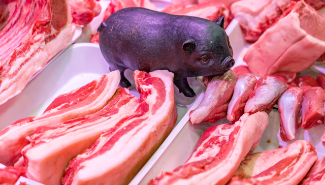 猪价低迷，为何猪肉概念股却在疯涨？