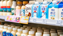 賽維時(shí)代一個(gè)離不開(kāi)亞馬遜的“跨境工廠”