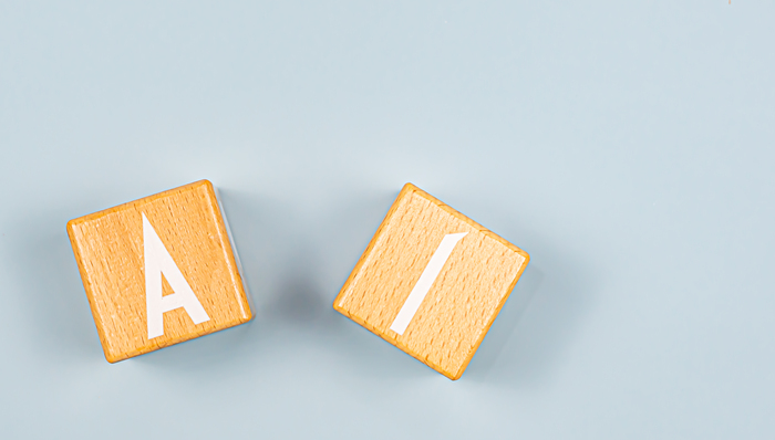 诺安,蔡嵩松,银华基金,李晓星