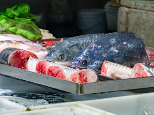 日本农产品出口再破历史新高，扇贝、鸡蛋、威士忌等最受中国买家欢迎