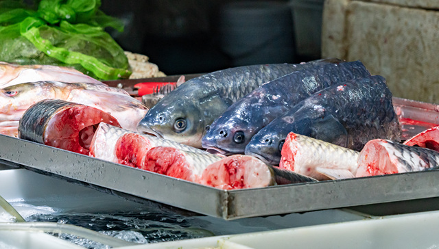 日本农产品出口再破历史新高，扇贝、鸡蛋、威士忌等最受中国买家欢迎