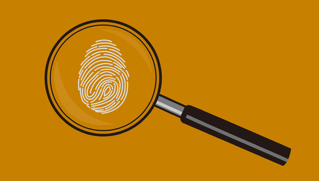 快手抖音微信微博B站同日公告，将引导头部“自媒体”账号展示实名信息