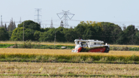 1-7月乡村消费品零售额累计同比增长2.4%，高于城镇1.3个百分点