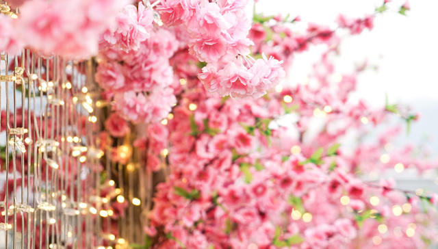 全城联动;2026上海国际花卉节;开幕