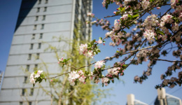 最高补贴一半契税、买房即落户，又有超十城出台楼市支持政策