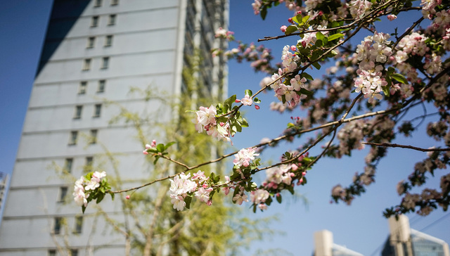 最高补贴一半契税、买房即落户，又有超十城出台楼市支持政策