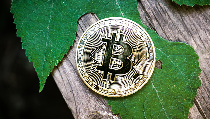 时隔一年半，比特币交易价格再次站上40000美元