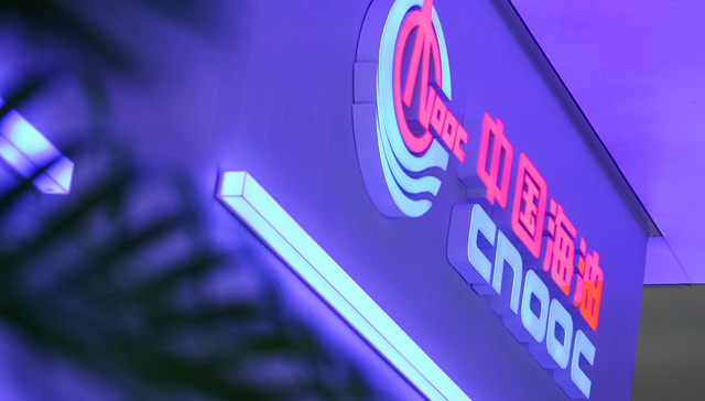 挂牌一年无人问津，中海化学终止转让旗下磷复肥项目