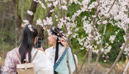 山东曹县再次爆红，靠汉服造出自己的“义乌”