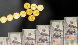 中國信保上海分公司：今年將累計為15000余家“一帶一路”企業(yè)授信約100億美金