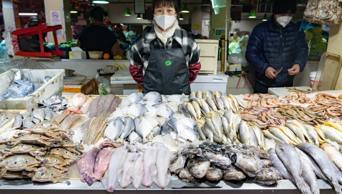 马云在农业领域再落一子，“一米八”涉足浙江和海南水产养殖行业