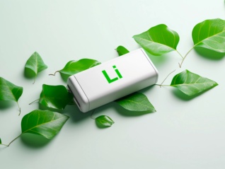 钛白粉上市公司集体叫停锂电跨界投资