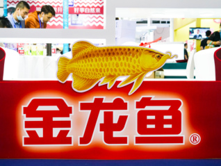 金龍魚2025年計提訴訟損失超7億元， 兩子公司不服一審判決上訴