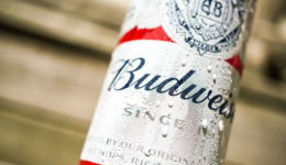 百威增长，全靠中国市场