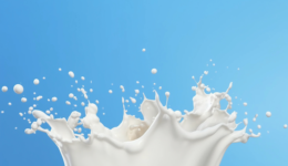 贝因美内外都难