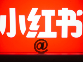 高举“生活方式”大旗的小红书努力挤进双11牌桌