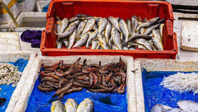 海大集团调低全年饲料销售目标，水产饲料销售低迷是主因