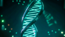 濃眉大眼龍頭股不香了？葛蘭、吳興武、陳啟明都盯上了這只不足百億的基因測(cè)序公司