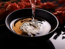 千亿郭广昌的白酒局，舍了什么，得了什么？