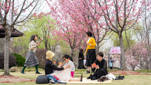 上海：全面推进“15分钟社区生活圈”建设，有序实施低效用地再开发