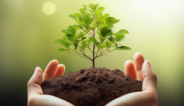 中林集團(tuán)旗下所有境內(nèi)債突發(fā)停牌，10只產(chǎn)品將于1年內(nèi)到期