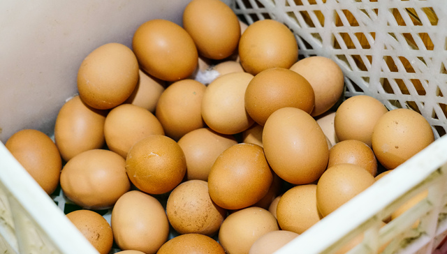 美国前两大禽蛋供应商涉嫌操纵2008年鸡蛋价格，或需赔偿近4亿元