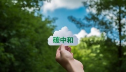 新CCER開市，整體價(jià)格迎來下調(diào)|界面預(yù)言家?