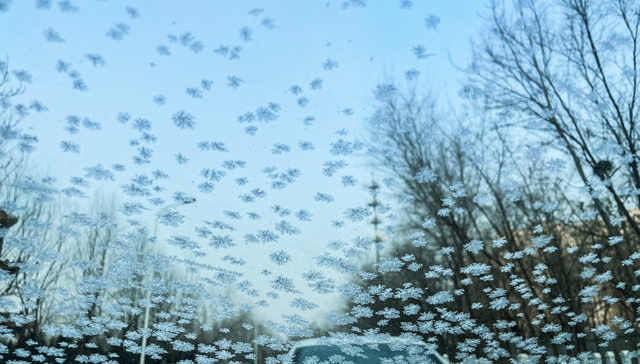 雪后北京变北平，银装素裹时这份保险指南请收好！