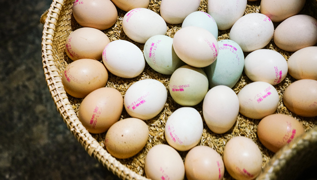 部分省份鸡蛋跌至“4元区”，2023年蛋价低位收官