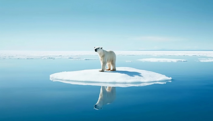 全球首次承诺削减制冷排放，中国应如何找准着力点？|碳讨