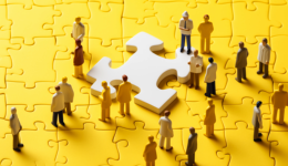 抢夺运动员，谁赢麻了？