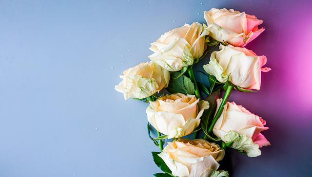 曾濒临倒闭的鲜花电商“花加”又开始卖花了