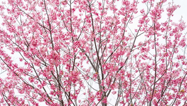 北京昌平科学家公园预计2024年底建成