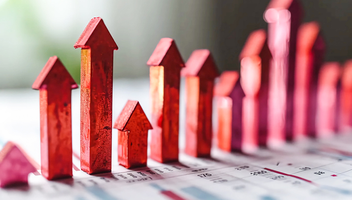 银行系险企2024年成绩单出炉，中信保诚、光大永明合计亏损超34亿元