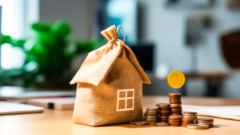 廣州掛牌8宗土地 總起拍價(jià)48.5億元