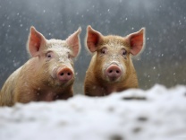 研报新知｜曙光初现？这个周期行业重新被机构看好