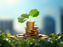 金股挖掘 | 極致的輕資產(chǎn)，中標合同金額爆發(fā)式增長，這家公司真實盈利能力被隱藏了