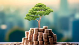 94岁，巴菲特最后一战