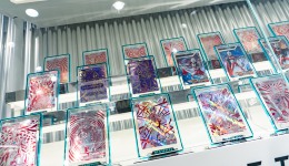 数读2025：资本扎堆押注卡牌赛道，市场规模却一年缩水86亿？