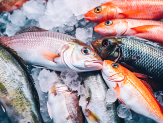 “一米八”又准备进军肉牛产业，马云的大黄鱼和贻贝生意还好吗？