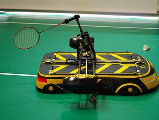 羽毛球价格飞涨？水禽养殖业要靠卖羽毛求生