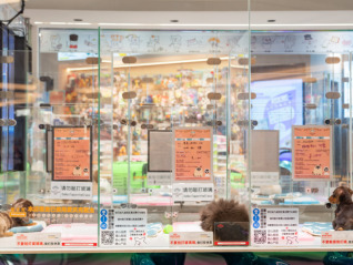 给宠物做“精装房”会是智能硬件下一个好机会吗？