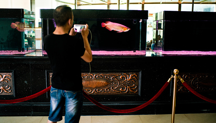 如今的智能手机市场，是否该再次向山寨机宣战