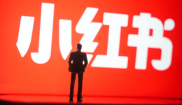 95后、00后主理人，双11掘金小红书电商