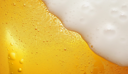 精釀啤酒是下一個風(fēng)口？