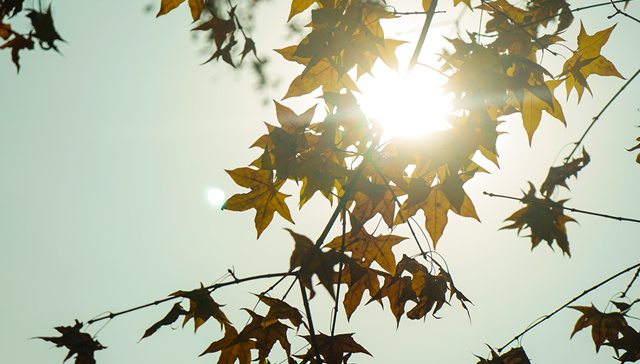 民间投资恢复成色如何？哪些行业和地区表现更好？|2024民企大调研①