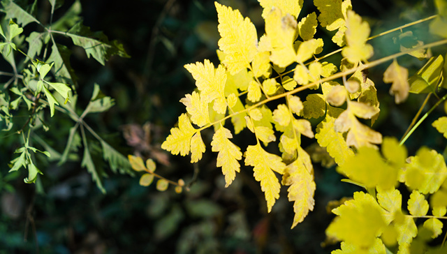 营业收入增速转正后，私营工业企业还面临哪些困境？|2024民企大调研②