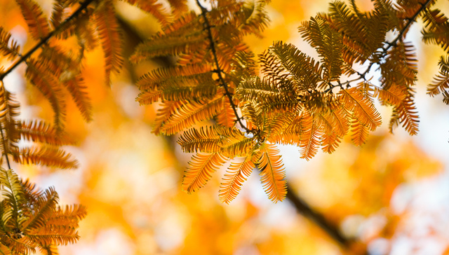 私营单位工资大透视：哪些行业和省份增速最快？|2024民企大调研③