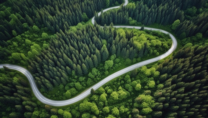 中国森林覆盖率达到24.02%，荒漠化和沙化土地面积持续“双缩减”