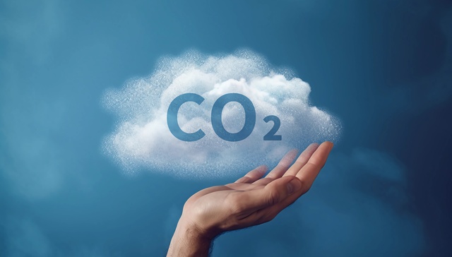 跨国工业巨头看上中国碳生意 ｜进博新机遇